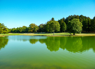 まるで鏡のように美しいゴルフコースの池