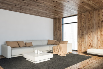 White and wooden living room corner with sofa