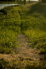 Schody między trawą podczas zachodu słońca