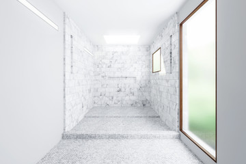 Empty Modern Bathroom after Renovation - 3d visualization