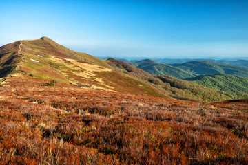 Polonina Carynska. Wonderful colours of mountain meadows. Bieszczady National Park. Poland