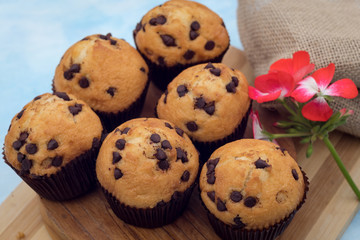 chocolate muffins to taste