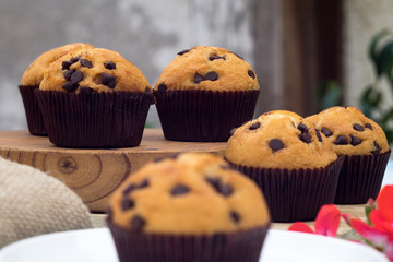 muffins on group