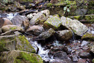 View of water running down small rocky stream