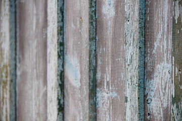 Closeup of an old texture of a weathered wooden wall painted in turquoise color. Aged wooden plank fence. Copy space. Selective focus