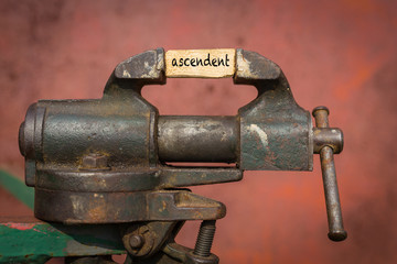 Vice grip tool squeezing a plank with the word ascendent