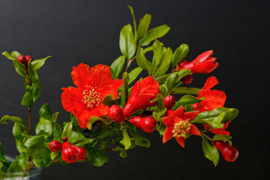 Pomegranate flower top