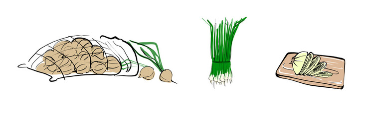 Vector illustration of a set of onions. Bow in a bundle. Sliced onions on a Board. Onion in a bag on an isolated white background.