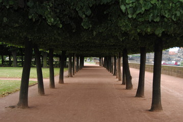 Park in Dresden