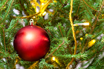 red ball and light string on twigs of natural christmas tree close-up indoor