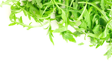 fresh farm arugula on a white background