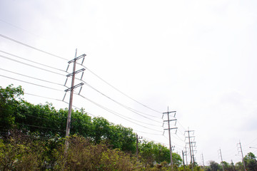 Transmission line of electricity to rural with green tree, High voltage electricity pole with...