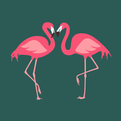 Vector isolated pink flamingos pair. Hand Drawn illustration