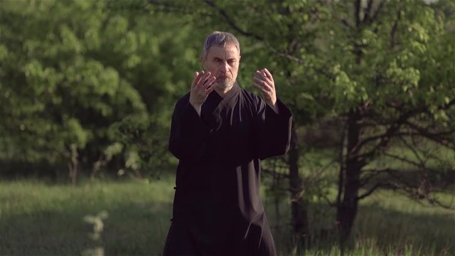 A martial artist practices tai Chi Taijiquan qigong in nature in a Park