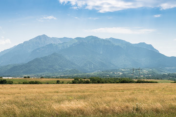 Green meadow on the background of the mountains. Copy space