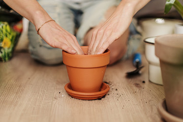 Female gardener knead the soil in a pot. Concept of home garden. Spring time. Stylish interior with a lot of plants. Taking care of home plants.