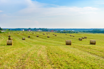 a wide field with haystacks rolled up in a roll, behind the field a village with a Church, behind the village a forest.