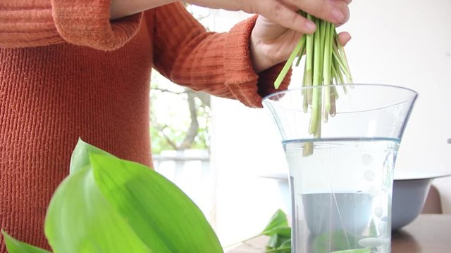 woman puts a bouquet of gentle young white lilies of the valley in a glass vase on white wall background near her country house. lifestyle concept, free space	