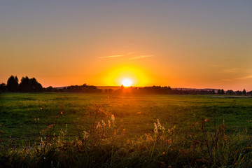sunset over the field. the sun touches the trees on the horizon.