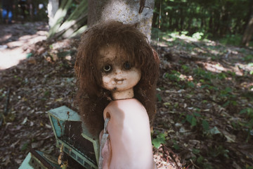 Chernobyl / Ukraine. Chernobyl exclusion zone. Ruins of abandoned places. Zone of high radioactivity. Ruins of buildings. 