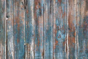 Fototapeta na wymiar Texture of wooden slats with peeling paint. Old wooden natural background. vertical boards with faded paint. Fence boards in blue, brown and gray.