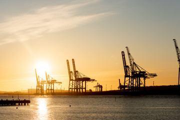 Large ship to shore container cranes at sunset