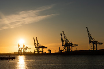 Fototapeta na wymiar Large ship to shore container cranes at sunset