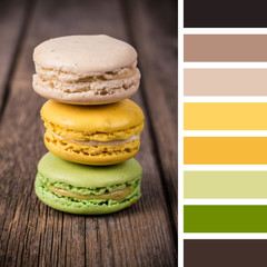 Stacked macaroons palette