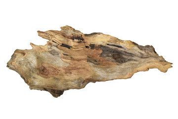 Driftwood or aged wood isolated on white background with clipping path. Closeup piece of driftwood for aquarium. - obrazy, fototapety, plakaty
