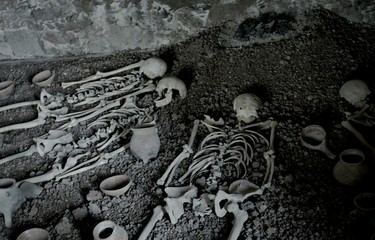 High Angle View Of Skeletons On Ground
