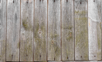 old wooden wall background texture