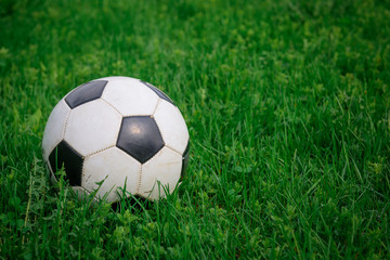 Fototapeta na wymiar Soccer ball on the lawn on sunny summer day, close-up. White and black ball on background of green grass, copy space. Concept of active recreation, sports entertainment in nature.
