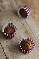 chocolate muffins 