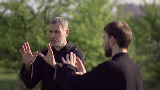 A qigong master and his disciple practice tai Chi in nature in a Park