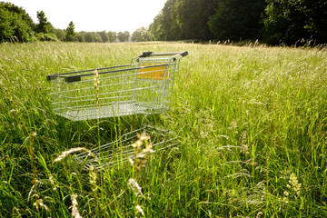 Leerer Einkaufswagen steht auf einem Feld