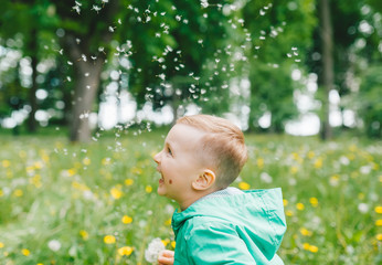 Little boy outdoor in a green park.