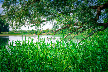 Wanderung am Donauufer um die Gstüt Insel mit Blick auf Straubing und die Skyline 