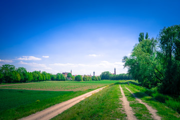 Wanderung am Donauufer um die Gstüt Insel mit Blick auf Straubing und die Skyline 