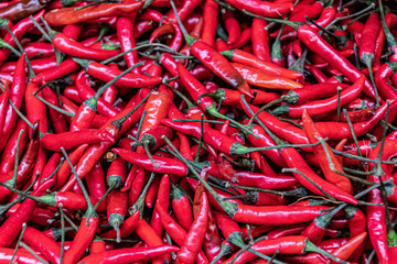 fresh spicy red chilies at a market