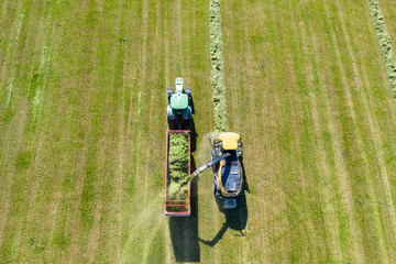 Combine harvesting a green field and unloads wheat for Silage onto a double trailer truck - Aerial image
