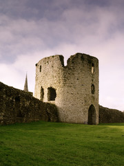 Fototapeta na wymiar old castle in ireland