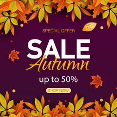 Big autumn sale. Autumn sale vector background