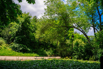 path in the park