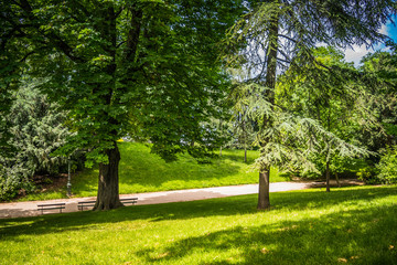 path in the park