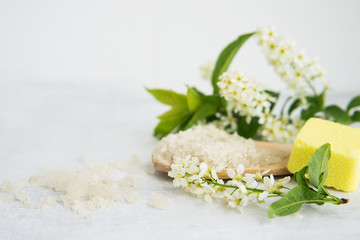 Concept of Spa-cosmetic and cosmetic procedures. Spa-sea salt in a wooden spoon and shells. On a...