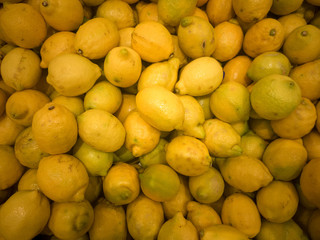 A walk in the garden!