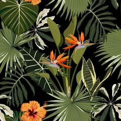 Fototapeta na wymiar Tropical floral background with palm leaves, plants and hibiscus strelitzia flowers. Hand drawn botanical illustration for tropical party design.
