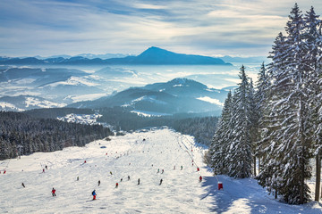Beautiful scenery of the snowy winter landscape. View from the ski slope of the Kubinska hola...