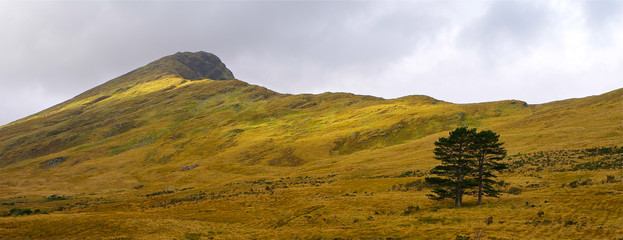 autumn landscape in the mountains