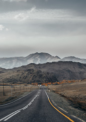 Autumn forest. Altai mountains